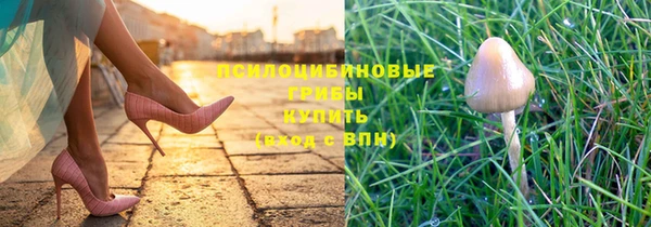 метамфетамин Майский