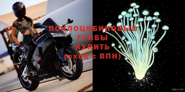 ПСИЛОЦИБИНОВЫЕ ГРИБЫ Магадан