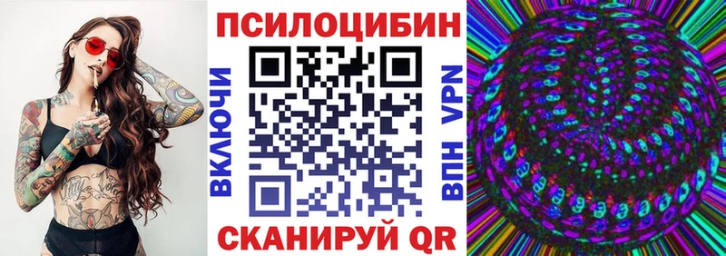 где купить наркоту  Гвардейск  ссылка на мегу ссылка  Галлюциногенные грибы MAGIC MUSHROOMS 